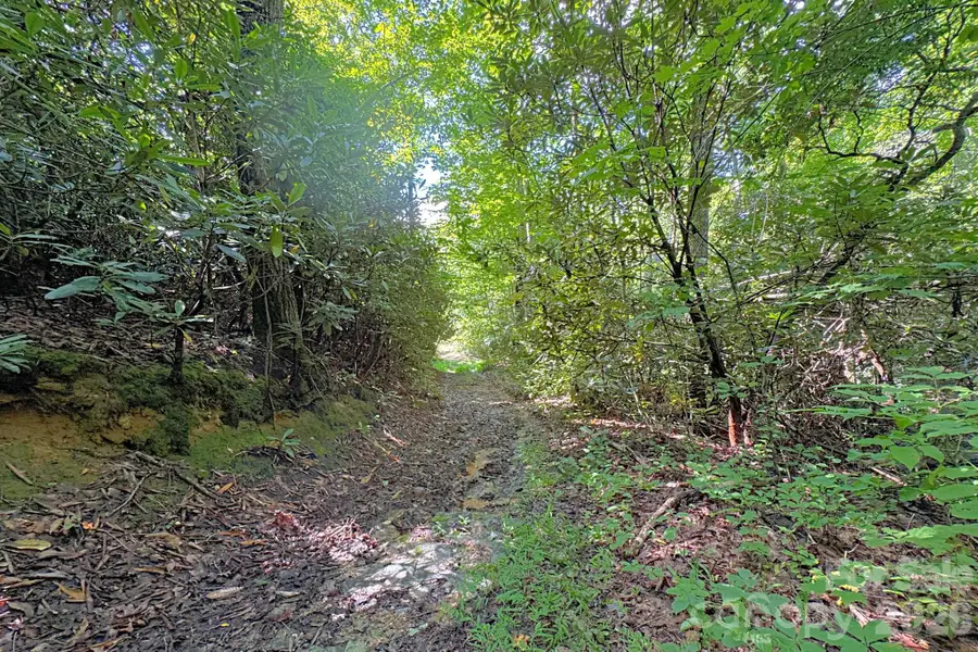 999 Fowler Lane, Fletcher, NC 28732 - #3