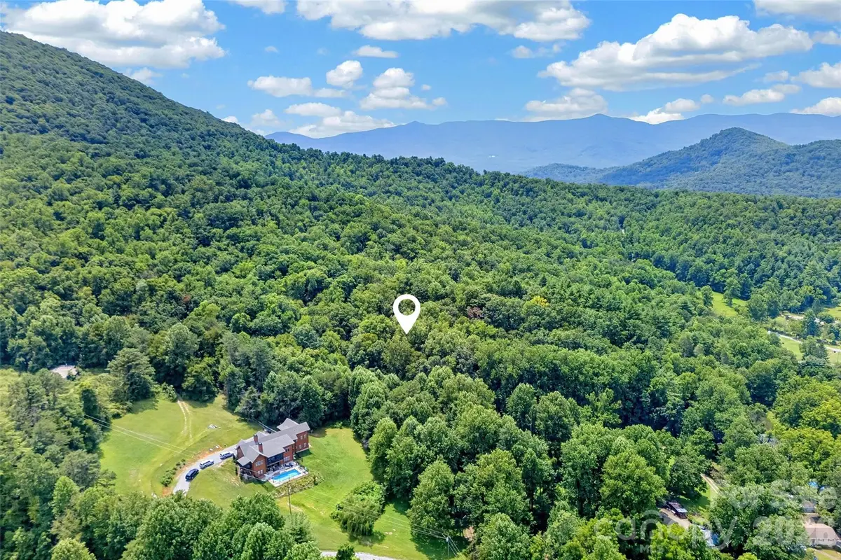 111 Walkertown Road, Black Mountain, NC 28711 - #1