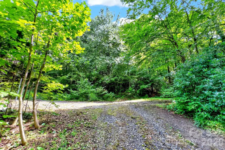 111 Walkertown Road, Black Mountain, NC 28711 - #2