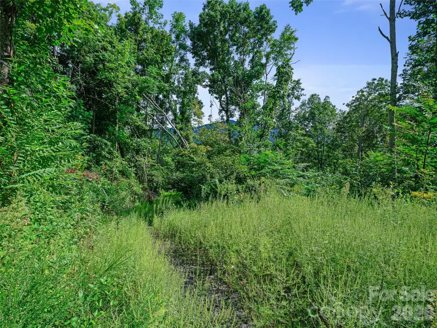 Lot #63-65 Bear Ridge Road, Bakersville, NC 28705 - #2
