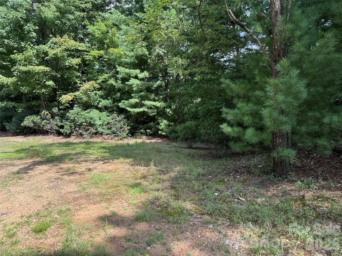 TBD Rich Pine Drive #119, Purlear, NC 28665 - #1