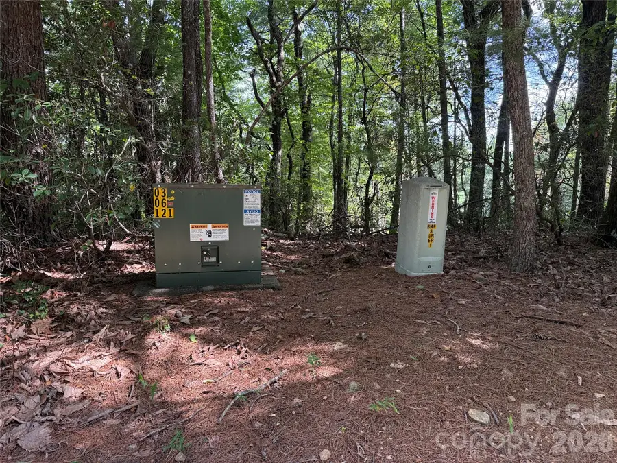 TBD Rich Pine Drive #119, Purlear, NC 28665 - #2