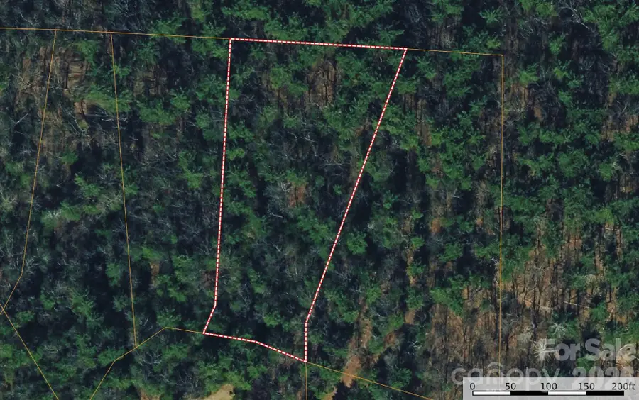 TBD Rich Pine Drive #119, Purlear, NC 28665 - #3