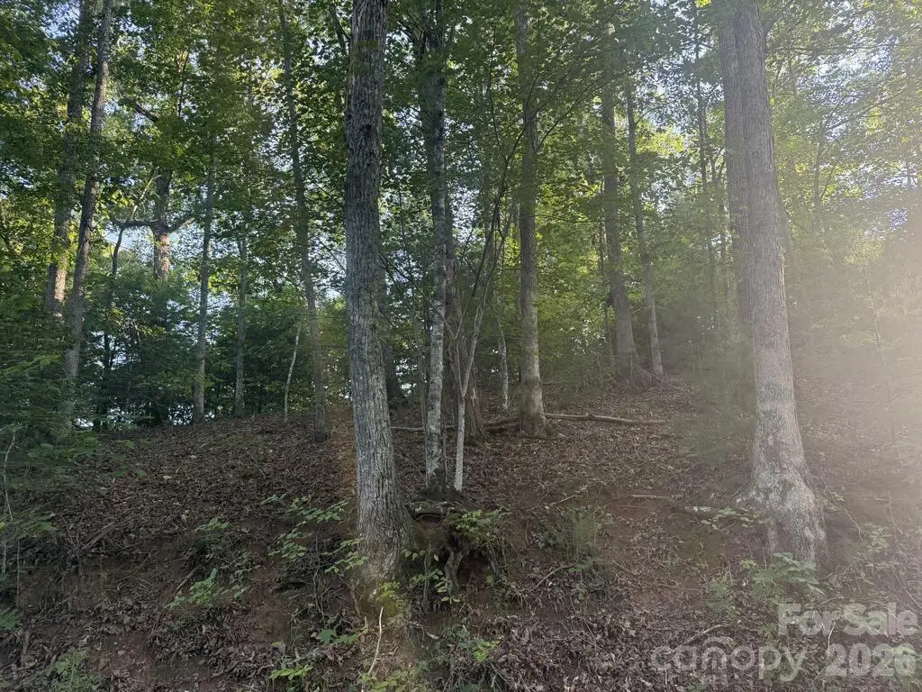 0 Canterbury Road, Cullowhee, NC 28723 - #1
