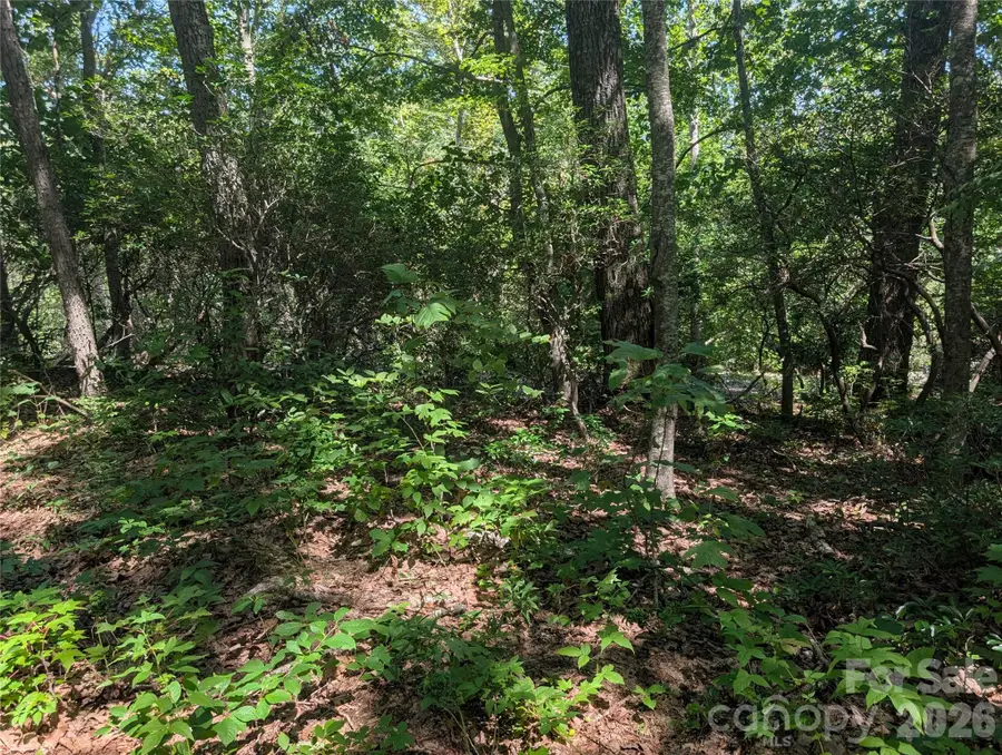 1824 Old Mill Road, Hendersonville, NC 28792 - #2