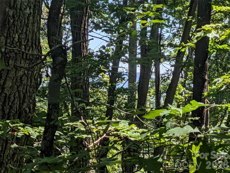 1824 Old Mill Road, Hendersonville, NC 28792 - #3