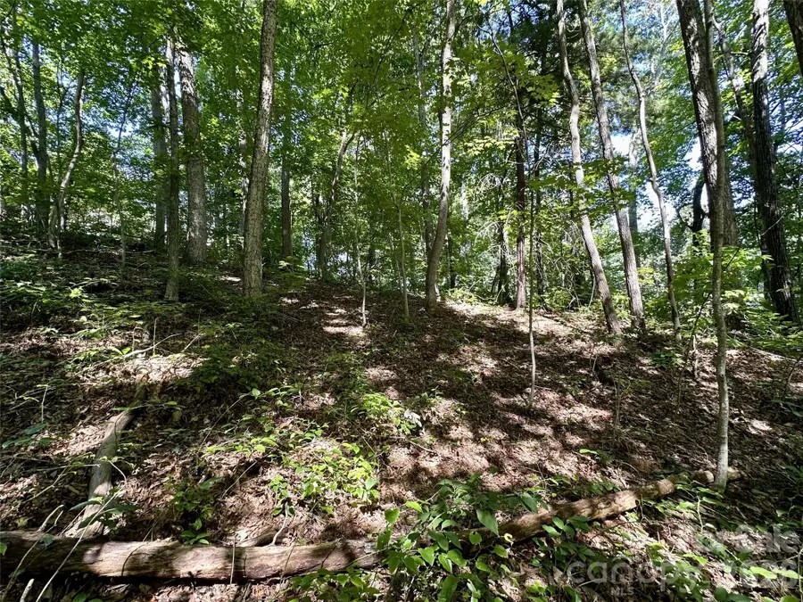 00 Liberty Road #21, Waynesville, NC 28785 - #2