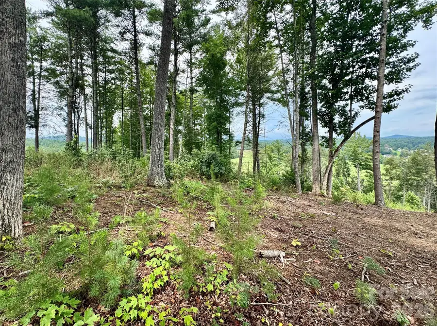 Lot G18, 2070 Thoroughbred Way #G18, Lenoir, NC 28645 - #2