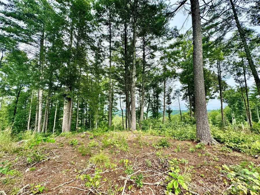 Lot G18, 2070 Thoroughbred Way #G18, Lenoir, NC 28645 - #3