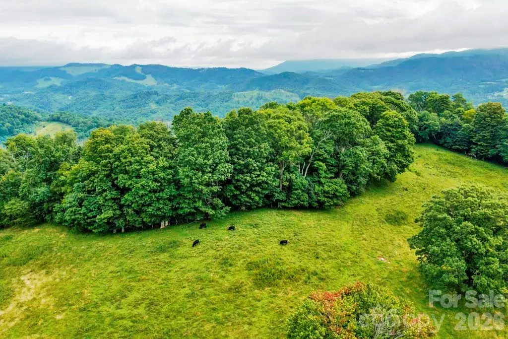 tbd Vaughn Potter Road, Zionville, NC 28698 - #1