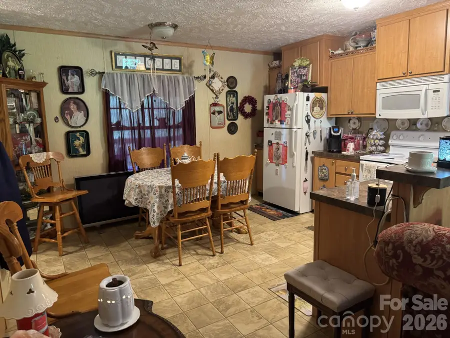 165 Shea Drive, Marion, NC 28752 - #3