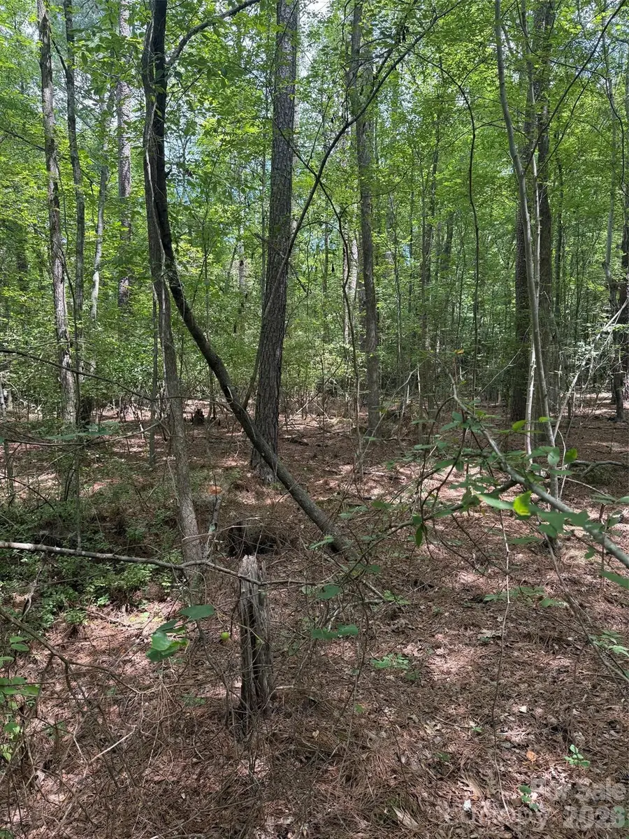 0 Blackwell Street, Mount Gilead, NC 27306 - #3