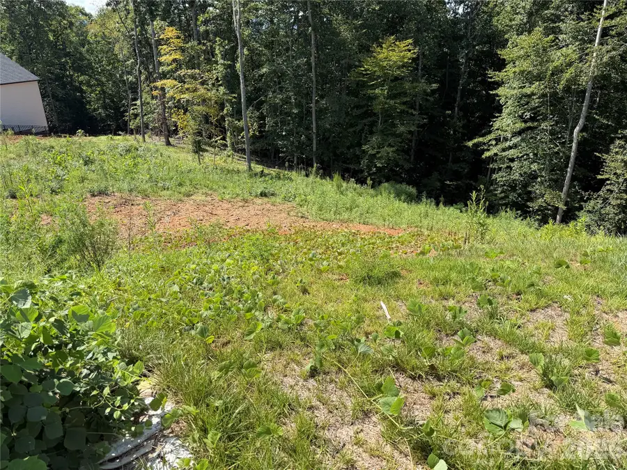 1207 Summerhill Street Sw, Lenoir, NC 28645 - #2