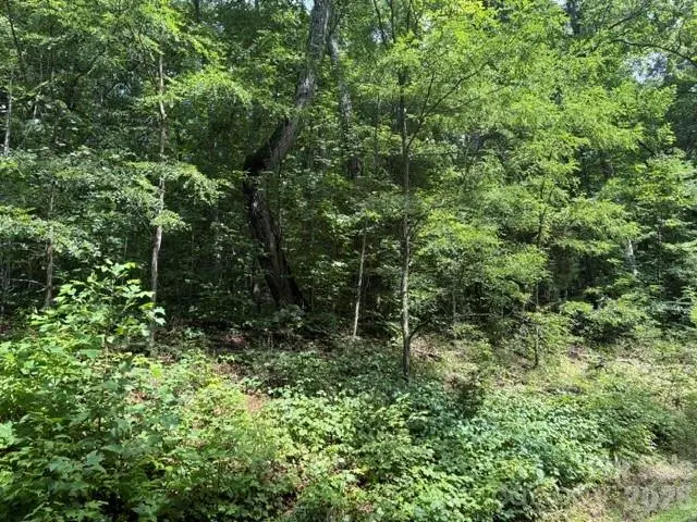 194 Elk Hair Drive #191,194,195,196,197, Cullowhee, NC 28723 - #2