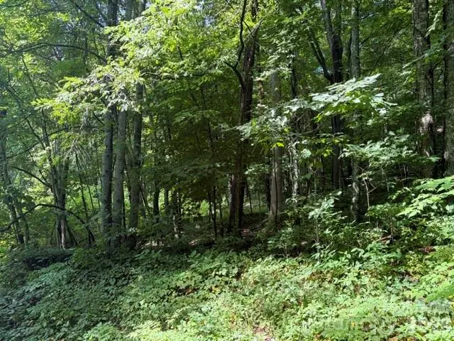 194 Elk Hair Drive #191,194,195,196,197, Cullowhee, NC 28723 - #3
