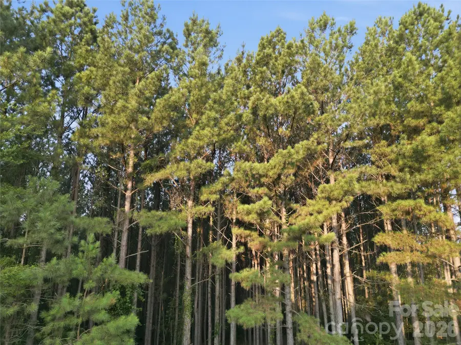 105 Stoney Brook Trail, Mooresboro, NC 28114 - #3