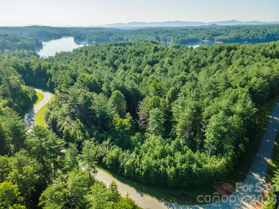 LOT 28 Peninsula Reserve Road, Nebo, NC 28761 - #2