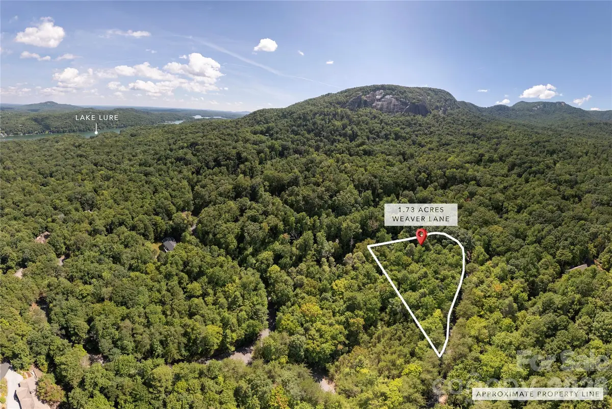 0 Weaver Lane, Lake Lure, NC 28746 - #1