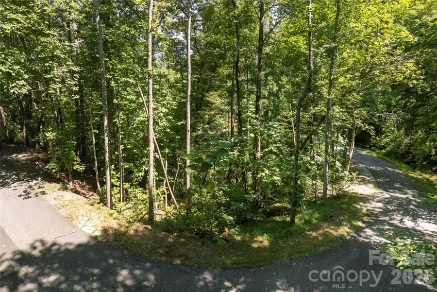 0 Weaver Lane, Lake Lure, NC 28746 - #2