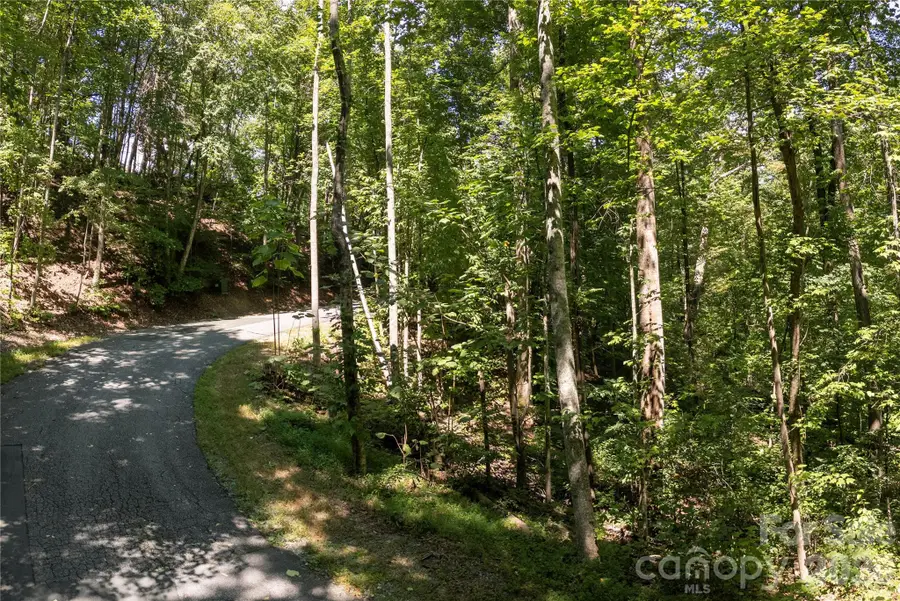 0 Weaver Lane, Lake Lure, NC 28746 - #3