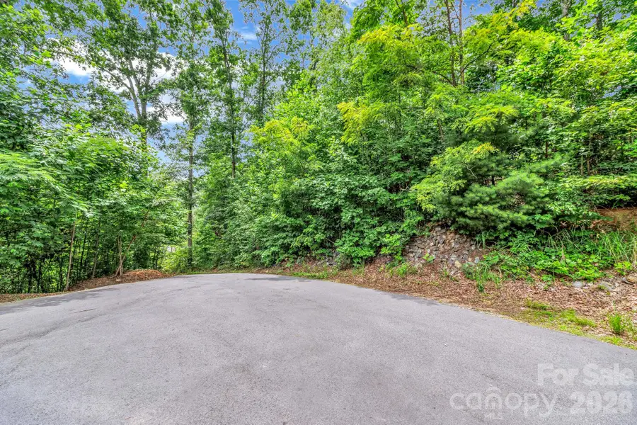 30 Pinners Cove Road, Asheville, NC 28803 - #3