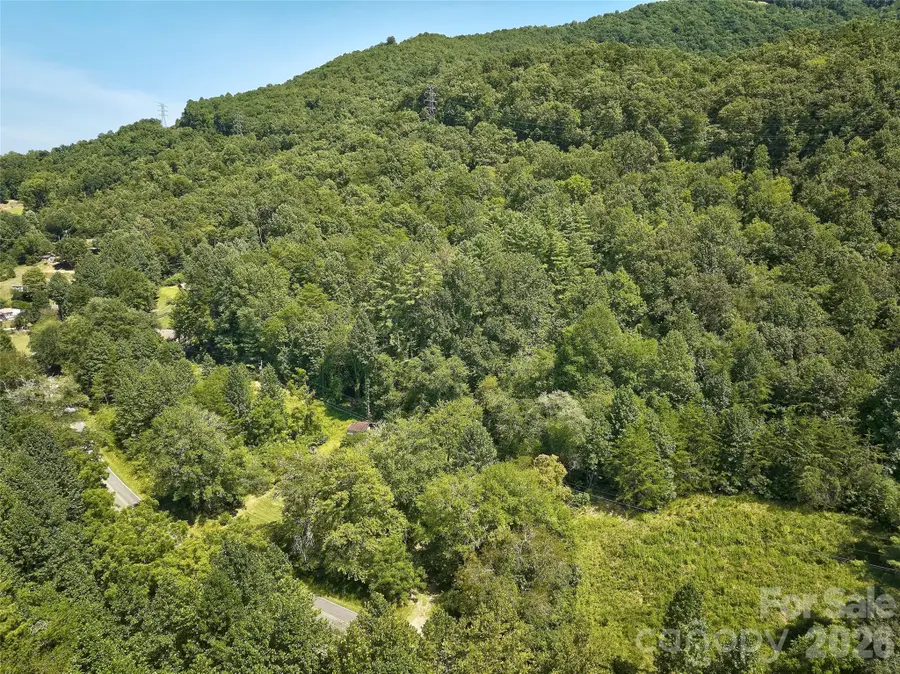414 Brendle Road, Bryson City, NC 28713 - #2
