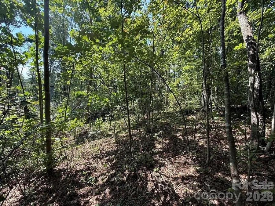 256 Burge Mountain Road, Hendersonville, NC 28792 - #3
