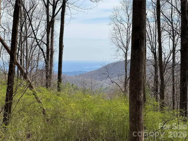 L8 Black Bear Court, Sapphire, NC 28774