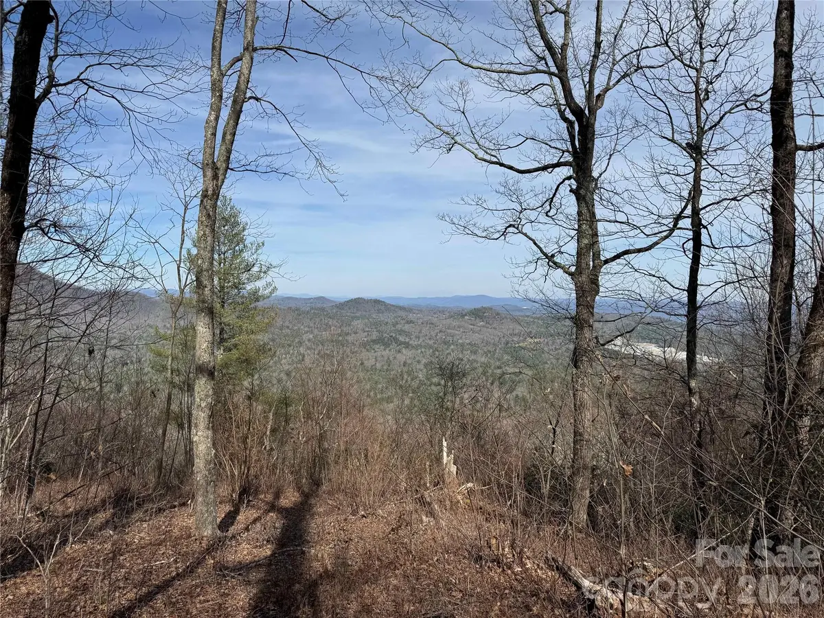 L4 Windy Gap Lane, Sapphire, NC 28774 - #1