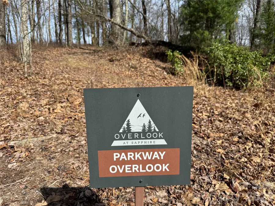 L4 Windy Gap Lane, Sapphire, NC 28774 - #2