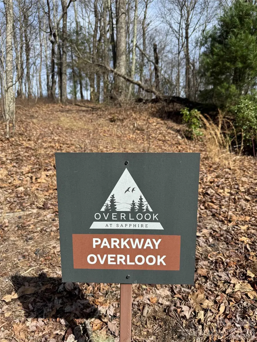 L4 Windy Gap Lane, Sapphire, NC 28774 - #3
