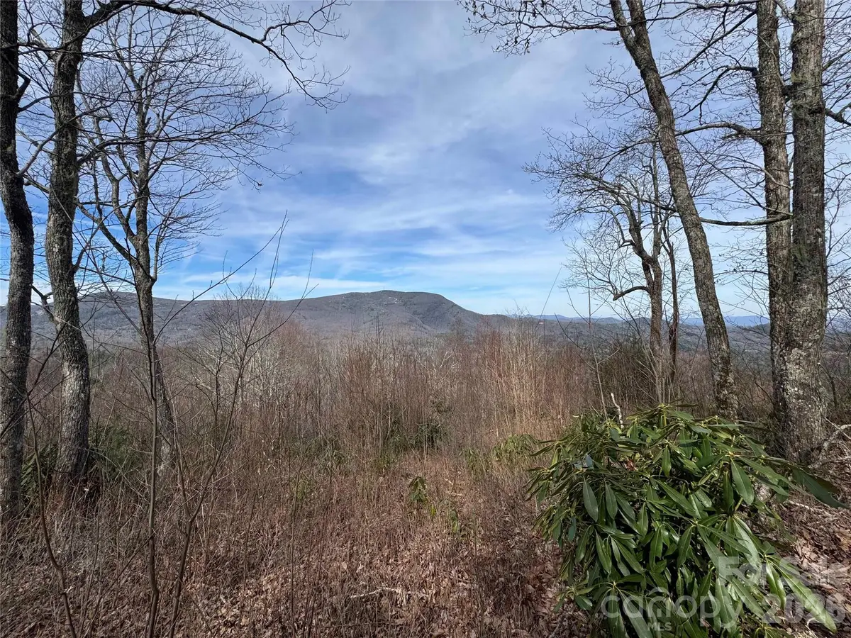 L3 Windy Gap Lane, Sapphire, NC 28774 - #1
