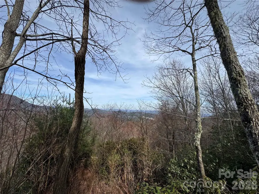 L3 Windy Gap Lane, Sapphire, NC 28774 - #2
