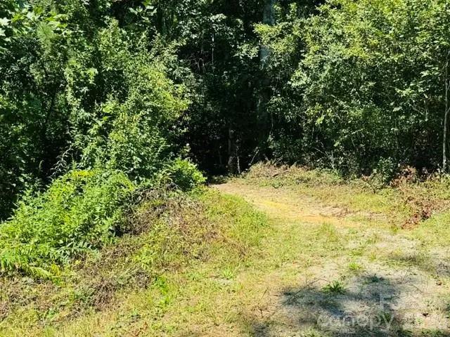475 Old Little Mountain Road, Pisgah Forest, NC 28768 - #1
