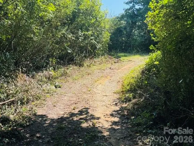 475 Old Little Mountain Road, Pisgah Forest, NC 28768 - #2