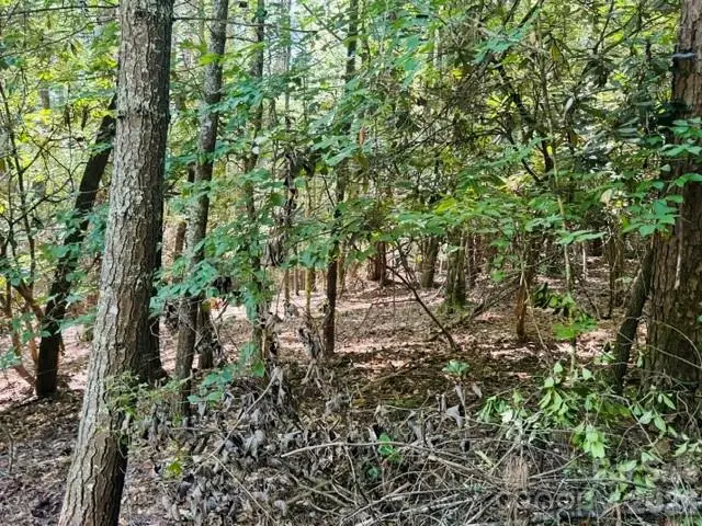 475 Old Little Mountain Road, Pisgah Forest, NC 28768 - #3