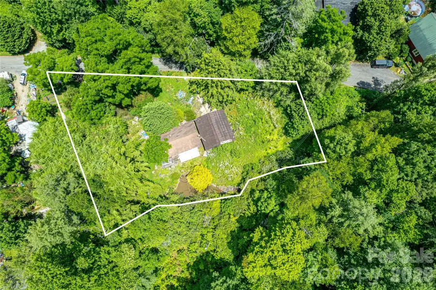72 Bothy Road, Brevard, NC 28712 - #3