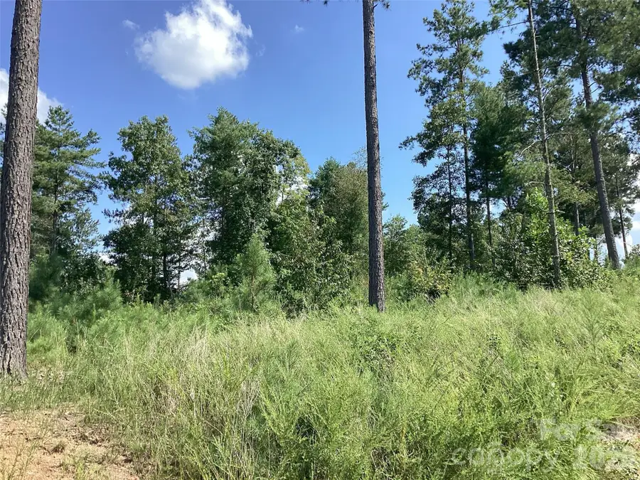 3292 Pyramid Peak Trail #211, Connelly Springs, NC 28612 - #2