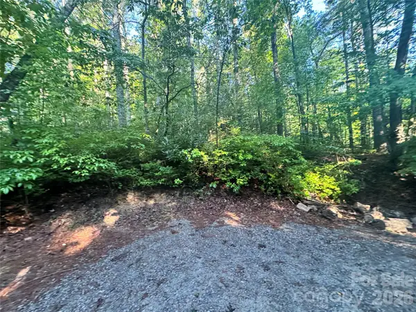 000 Sugar Creek Drive, Cedar Mountain, NC 28718