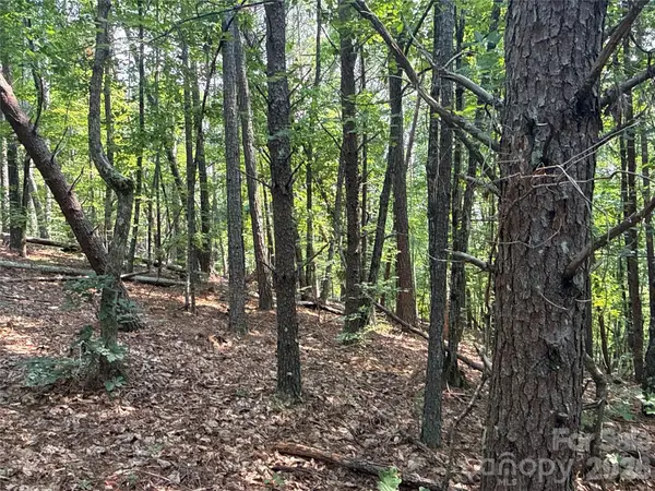242 Golden Creek Ridge, Union Mills, NC 28167