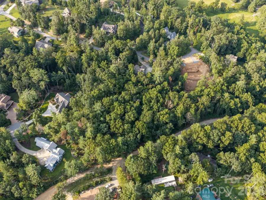 45 Jake Ridge Trail, Fletcher, NC 28732 - #2