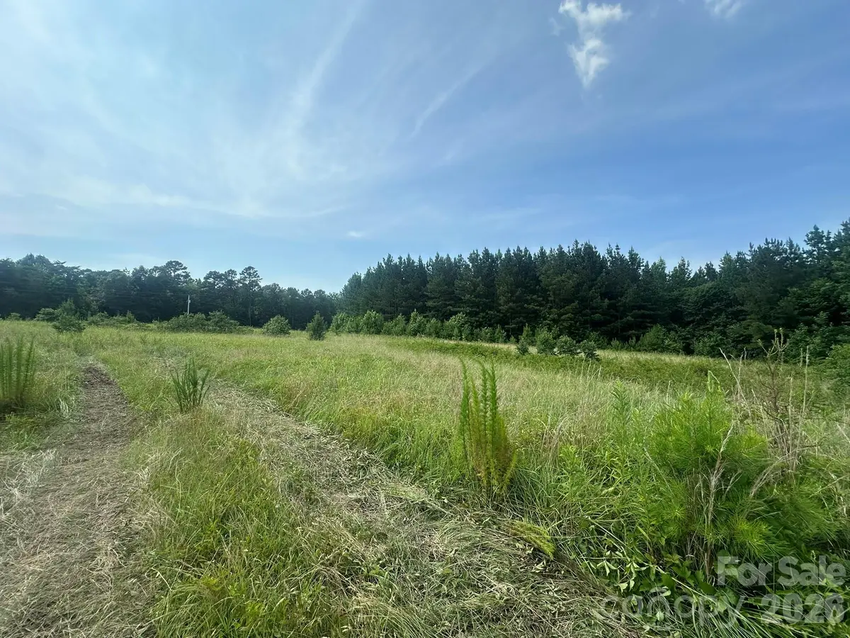 2 Hwy 73 Highway, Iron Station, NC 28080 - #1