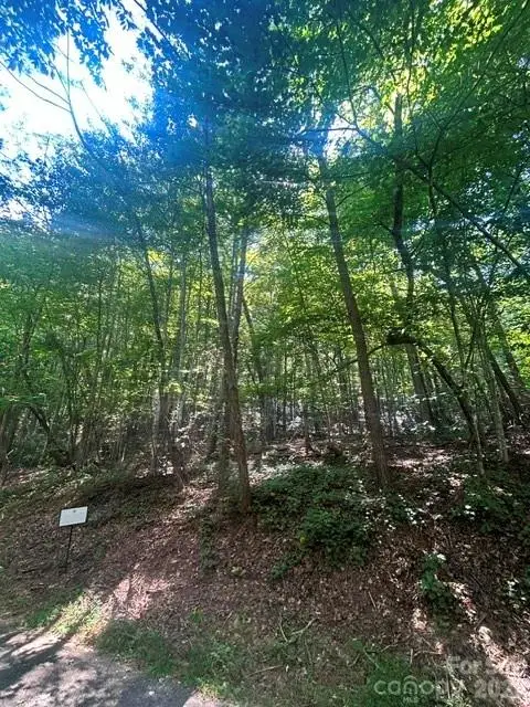 Lot 272 Hummingbird Court, Lake Lure, NC 28746 - #1