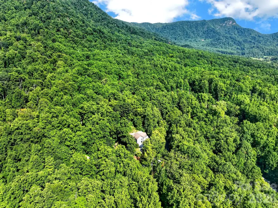 767 Hunnicut Mountain Road, Marion, NC 28752 - #2