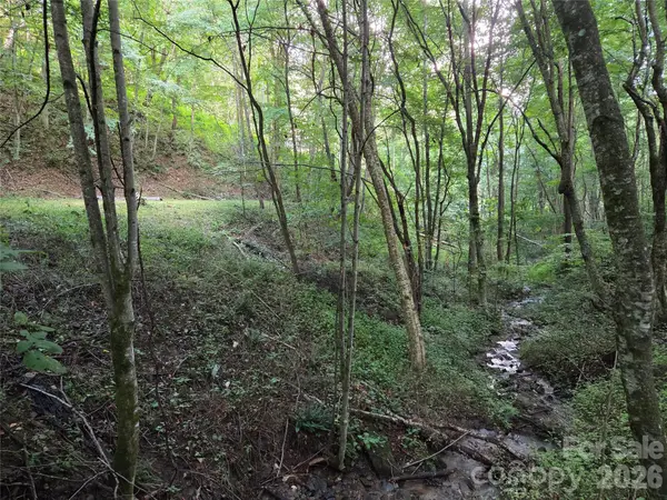 00 Creekside Drive, Maggie Valley, NC 28751