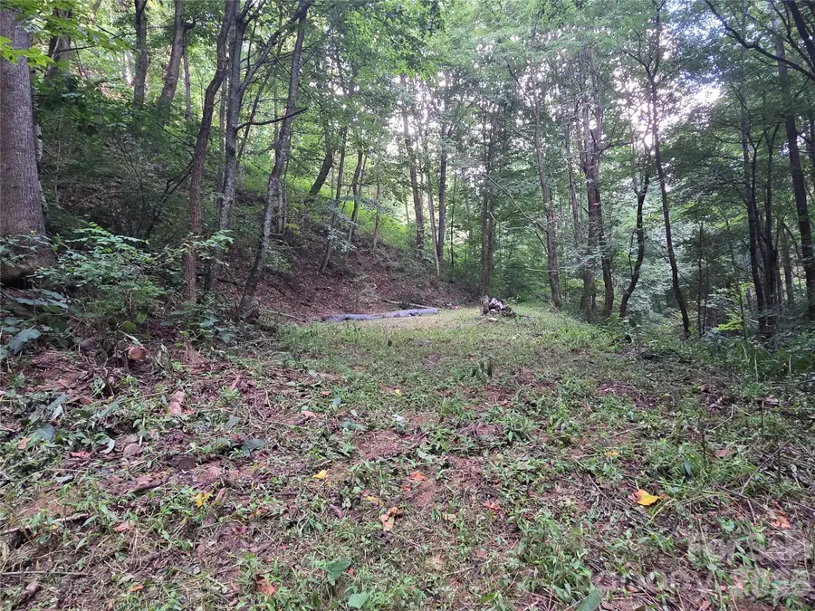 00 Creekside Drive, Maggie Valley, NC 28751 - #2