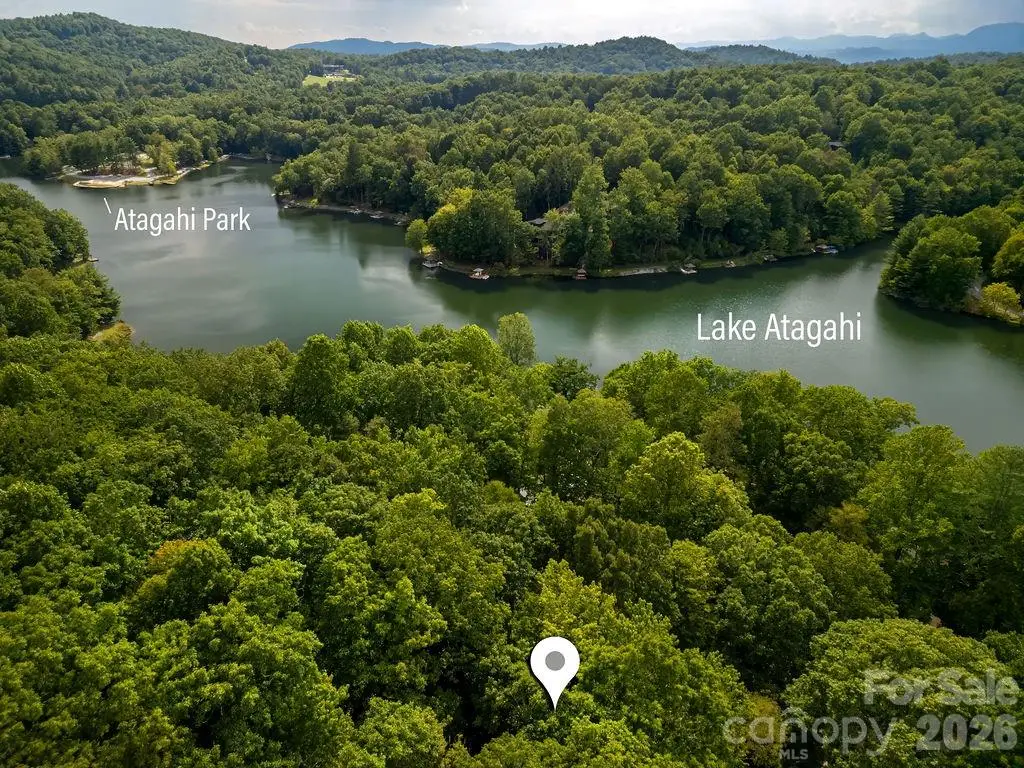 TBD Usdasdi Drive, Brevard, NC 28712 - #1