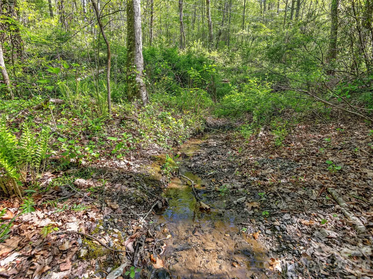 99999 Bob Barnwell Road, Asheville, NC 28803 - #1