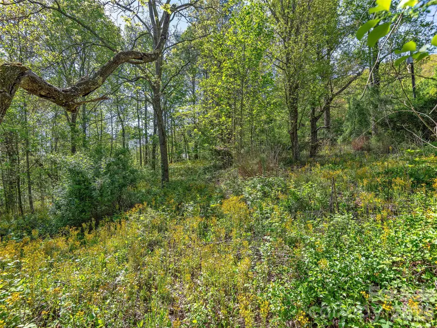 99999 Bob Barnwell Road, Asheville, NC 28803 - #2