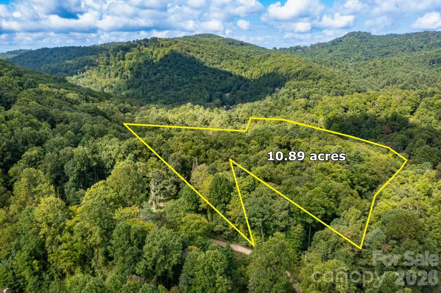 99999 Bob Barnwell Road, Asheville, NC 28803 - #3